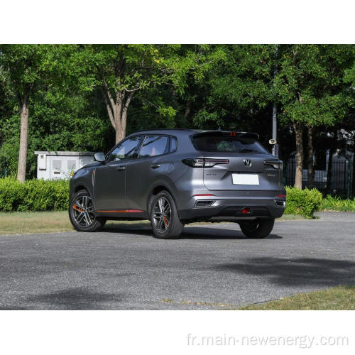 2023 Nouvelle marque chinoise Chana Ev High Speed ​​Car avec GPS à vendre